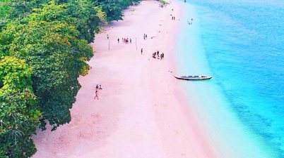 Pink Sand Beach Philippines